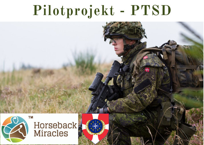 PTSD Pilotprojekt